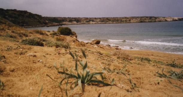 chypre-lara.1296382460.JPG