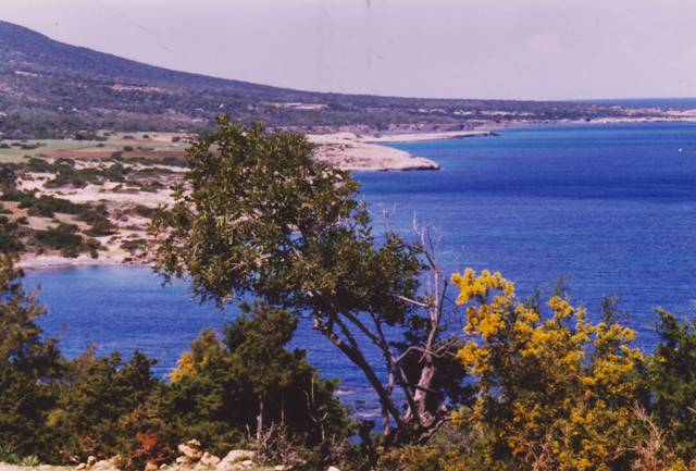 chypre-akamas.1296379889.JPG