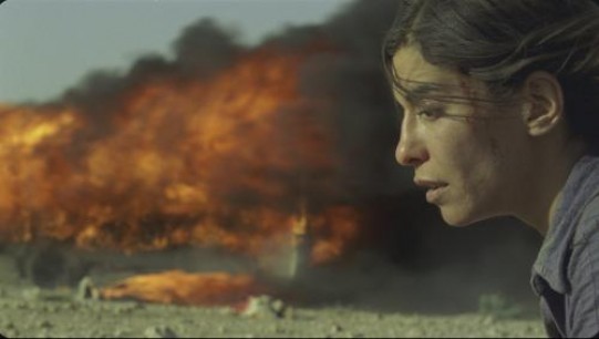 incendies2-2010_diaporama.1295631071.jpg