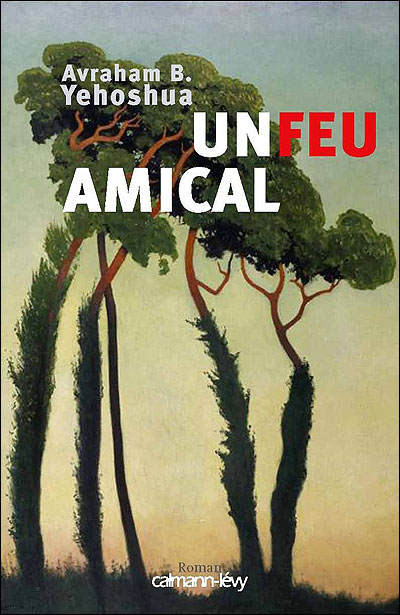 un-feu-amical.1296583348.jpg