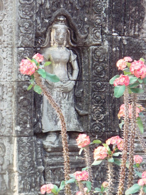 apsara