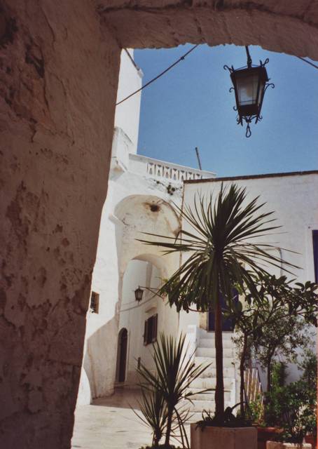 pouillesOstuni - Copie