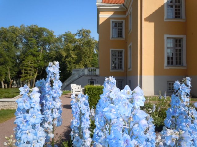 Estoniemanoirpalmse2 - Copie