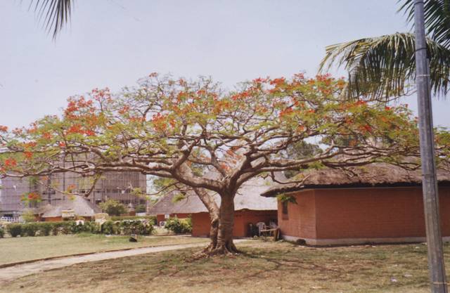 cotonou galerie des arts et de l