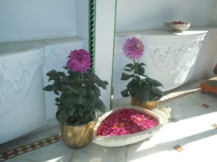 indes dt2012 337 - Copie