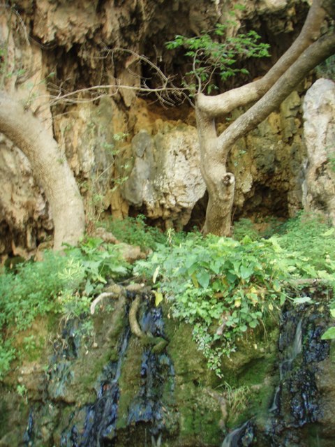 la Grotte de saint Antoine