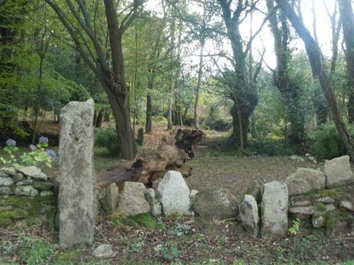 pontavendt 005 - Copie