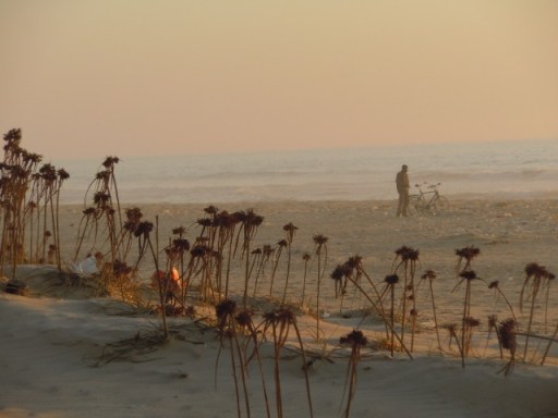 sénégal dt 104 - Copie