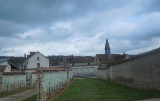 rosa bonheur 443 - Copie