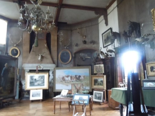 rosa bonheur 467 - Copie