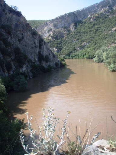 macedoine mp 046 - Copie