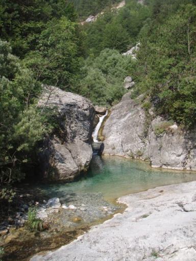 macedoine mp 168 - Copie