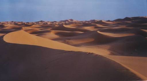 merzouga0012