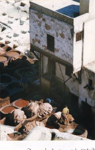 Fès tanneurs
