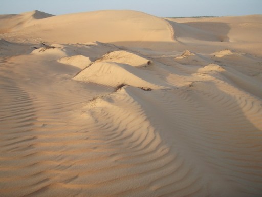 sénégalmp 030 - Copie