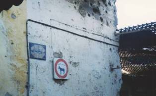 fes medina ruelle interdite aux ânes