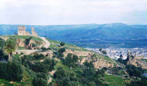 Tombeaux mérinides, ruines romantiques