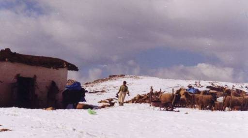 journée des3 saisons0006