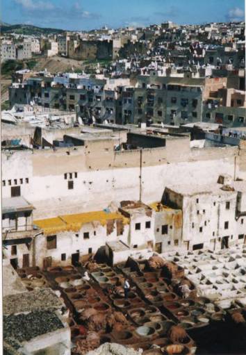 les cuves des tanneurs