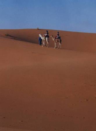Méharistes européennes