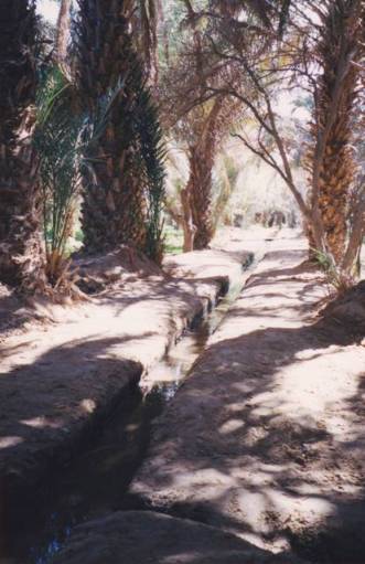 les canaux dans les jardins