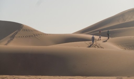 A l'assaut de la Grande Dune