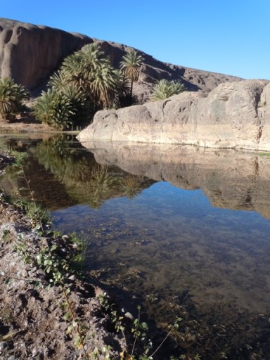 maroc2013dt 002 (268) - Copie