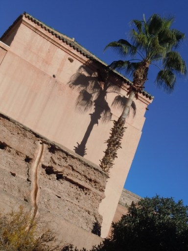 maroc2013dt 002 (43) - Copie