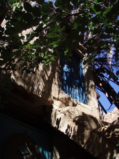 Eau et verdure (caroubier)