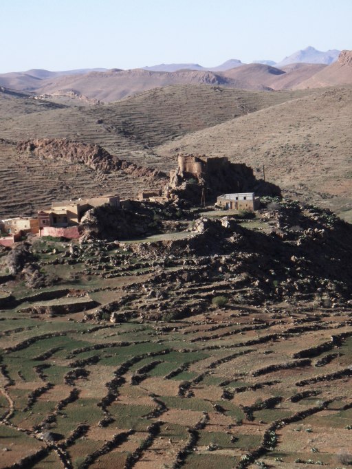 Route de Taraoudant, agadir et terrasses