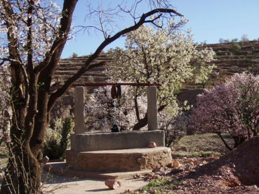 Sur la route de Tafraout à taroudant : le puits et ls amandiers
