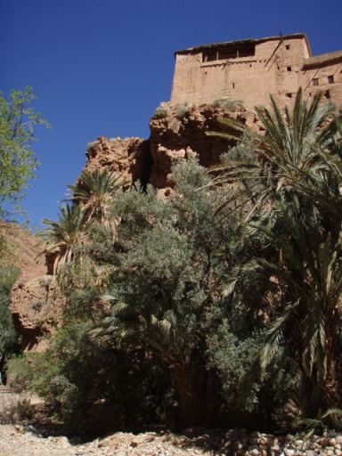 maisons et palmier Ait Mansour
