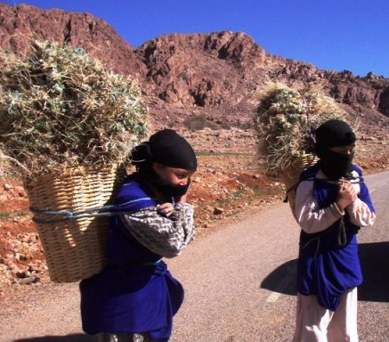 les cueilleuses de thym