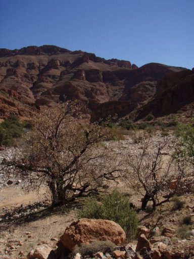 tafraout gorges Ait Mansour Amandier - Copie