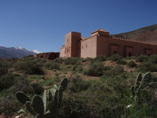 mosquée Tin Mal