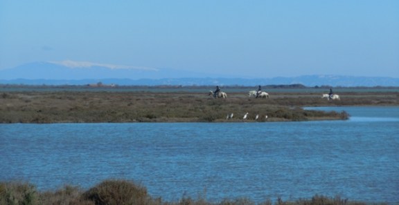 les cavaliers s'avancent