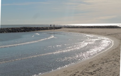 camarguedt 121 - Copie