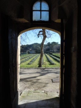 Provence Dtsaint rémy 031 - Copie