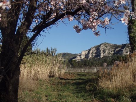 mp provence 006 - Copie