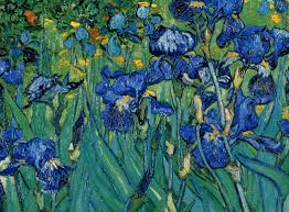 vangogh iris