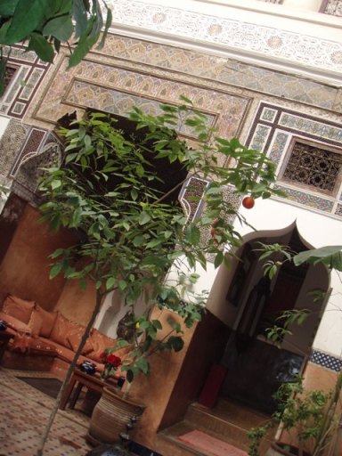 riad Jenai oranger du patio