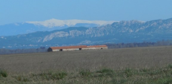 Derrière la Crau, les Alpilles et au fond la neige du Ventoux