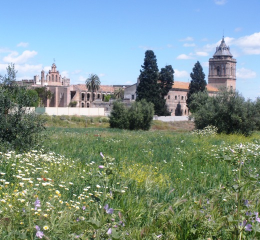andalousie coolpix 062 - Copie