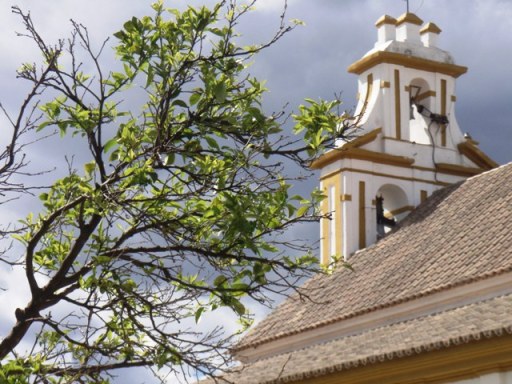 andalousie olympus 042 - Copie