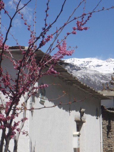 andalousie olympus 114 - Copie