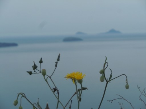 cyclades14dt 234 - Copie