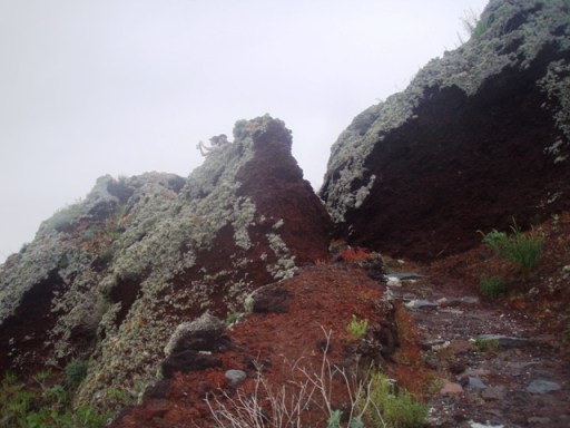 cyclades 14mp 114 - Copie