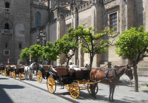 les calèches aux abords de la cathédrale