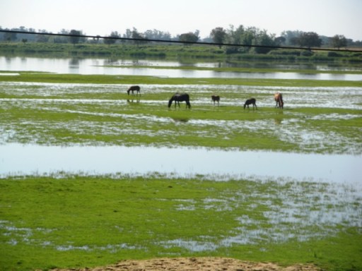 andalousie coolpix 421 - Copie
