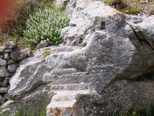 le lion gravé du Heroon d'Artemidoros